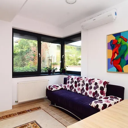 Luxury By The Park / Arch Of Triumph * בוקרשט