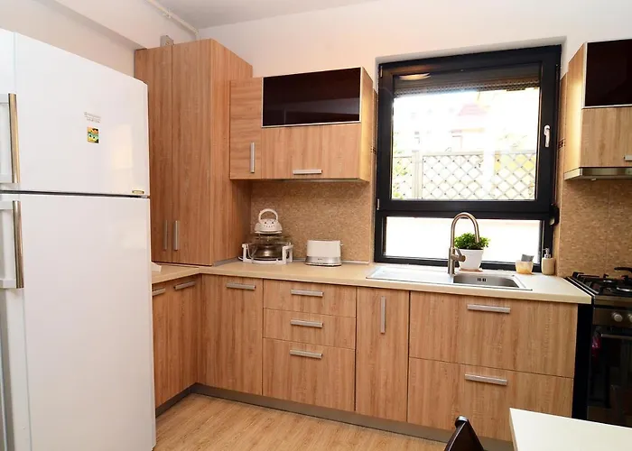 Luxury By The Park / Arch Of Triumph * Bukurešť