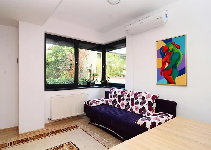 Luxury By The Park / Arch Of Triumph * Bucureşti