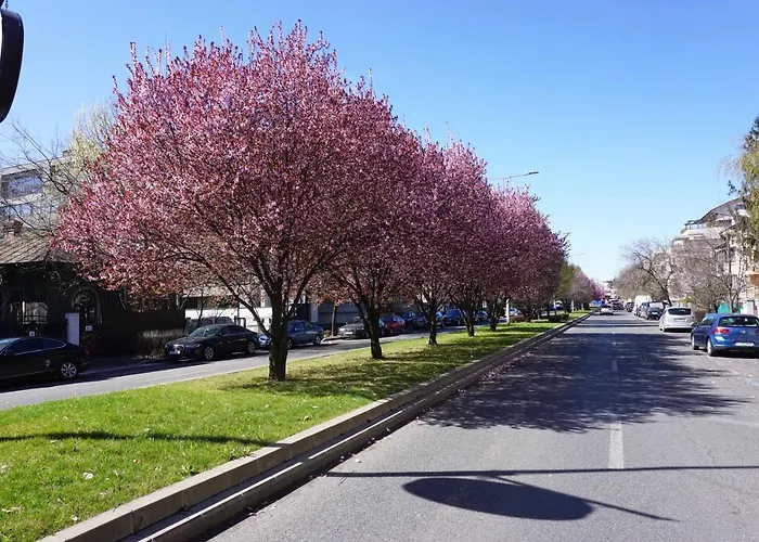 Luxury By The Park / Arch Of Triumph * Bucureşti