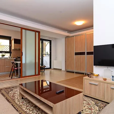 Apartment Luxury By The Park / Arch Of Triumph Bukarest