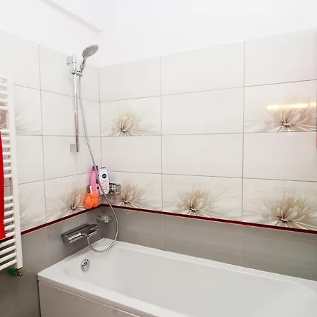 Luxury By The Park / Arch Of Triumph Bukarest