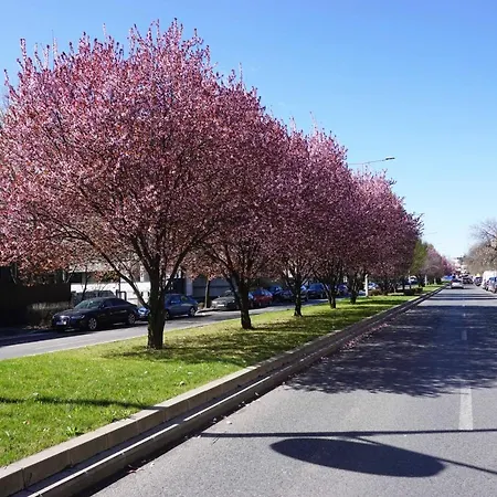 Luxury By The Park / Arch Of Triumph * Bukarest